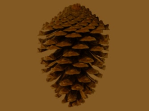 Artisan Pine Cone Bracelet