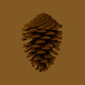 Artisan Pine Cone Bracelet