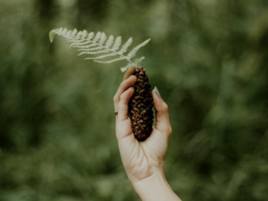 Sustainable Pine Cone Brooch