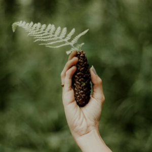 Sustainable Pine Cone Brooch