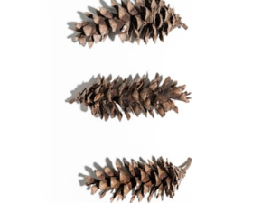 Handcrafted Pine Cone Hairpin
